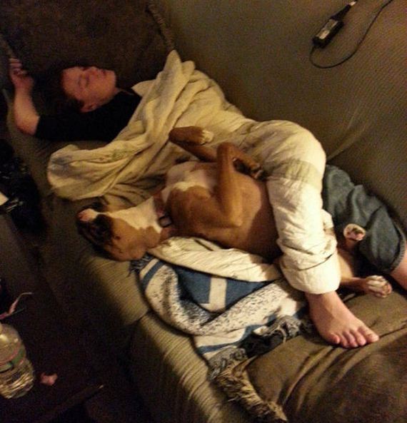 dog_can_relate