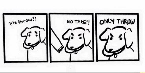 dog_can_relate