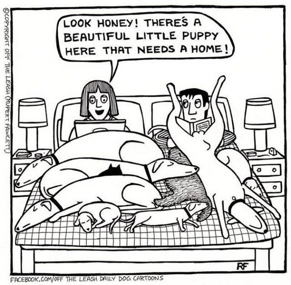 dog_can_relate