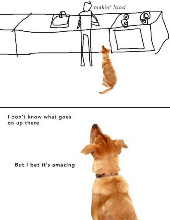 dog_can_relate