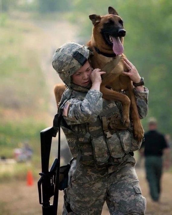 dogs-best-hero