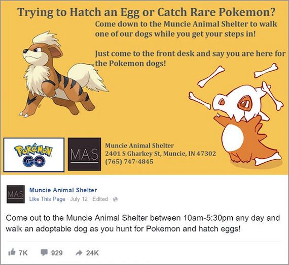 dont-be-a-hater-be-a-trainer