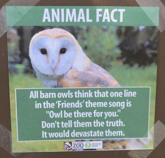 fake_animal_facts