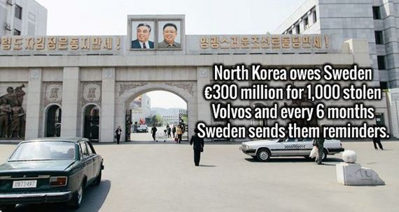 fascinating_fact-9-15