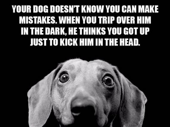 food_for_thoughts
