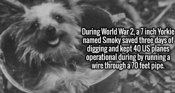 fresh_facts-10-12