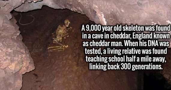 fresh_facts-10-12