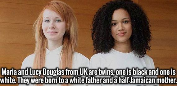 fresh_facts-10-12