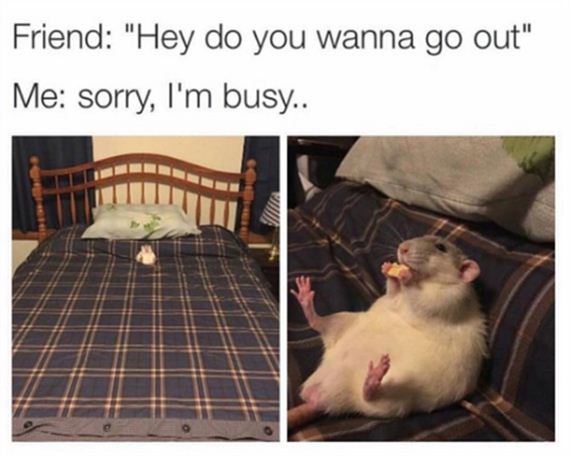 funny-animals-7-7