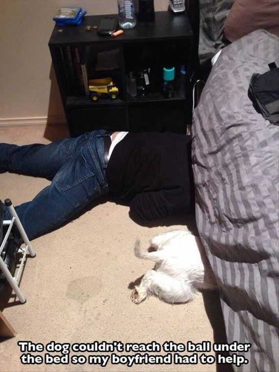 funny-animals-7-7