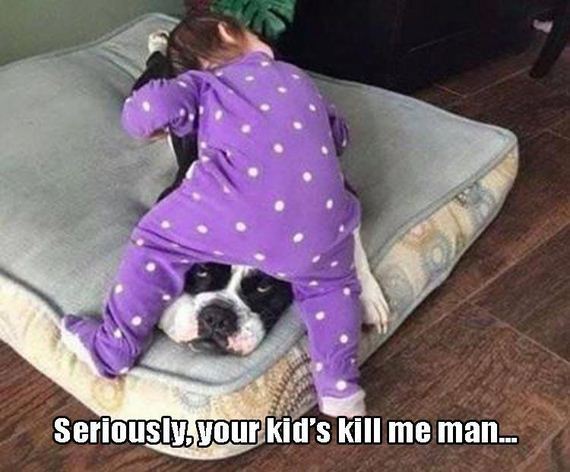 funny-animals-7-7
