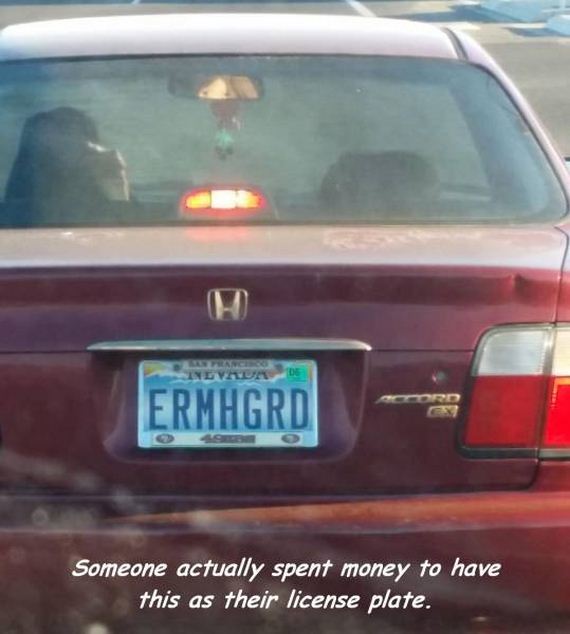 funny-pictures-1263