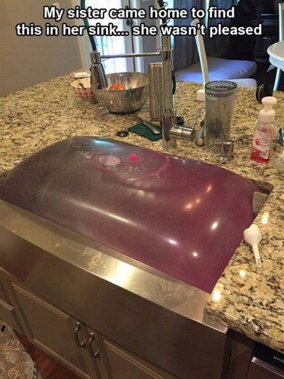 funny-pictures-1263