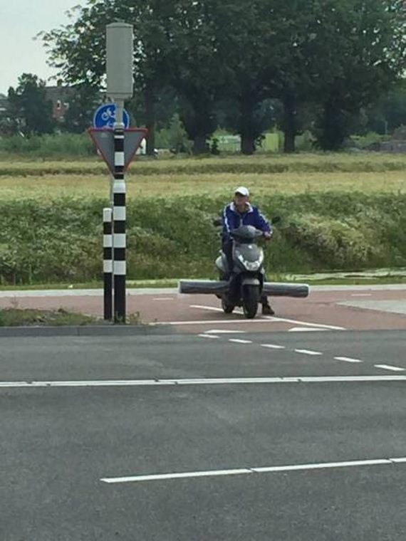 funny-pictures-1263