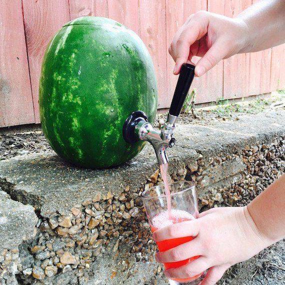 funny-pictures-1263