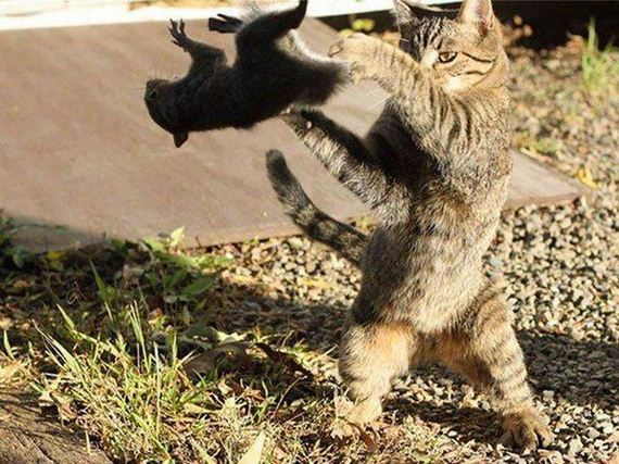 funny-pictures-1277