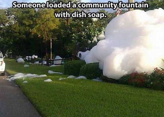 funny-pictures-1277