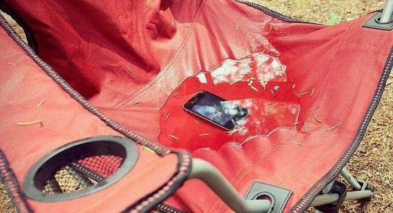 funny-pictures-1277