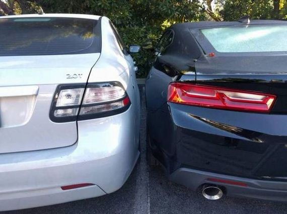 funny-pictures-1277