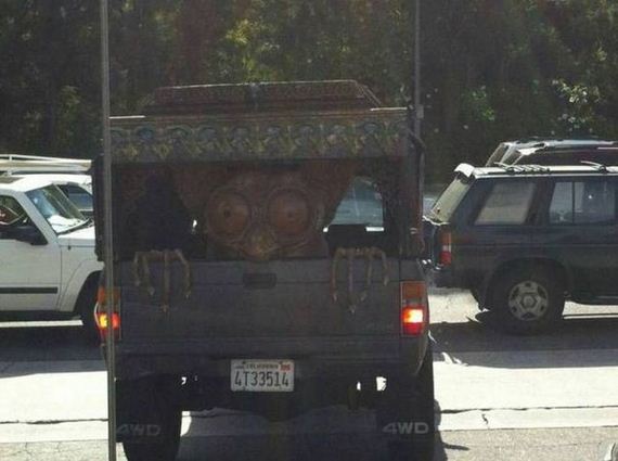 funny-pictures-1277