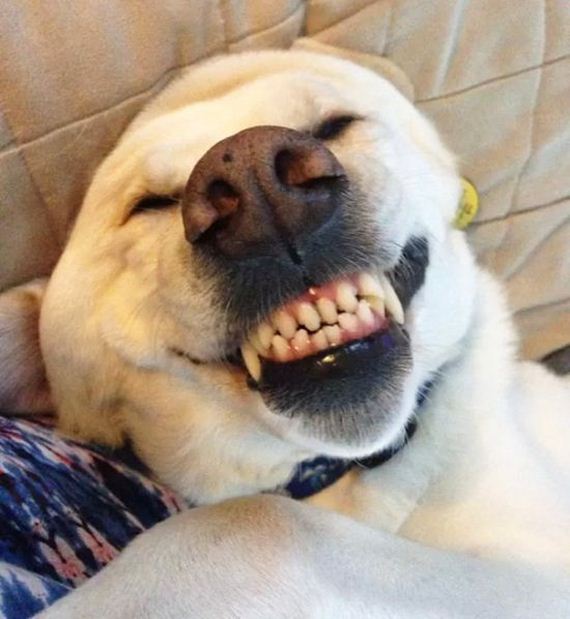 funny-pictures-1277