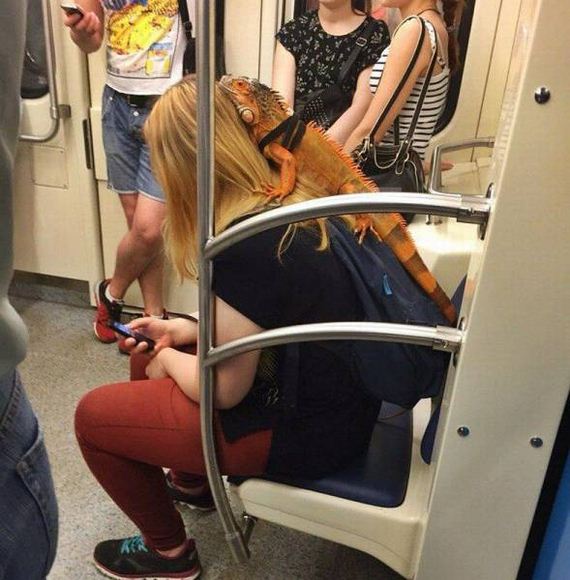 funny-pictures-1277