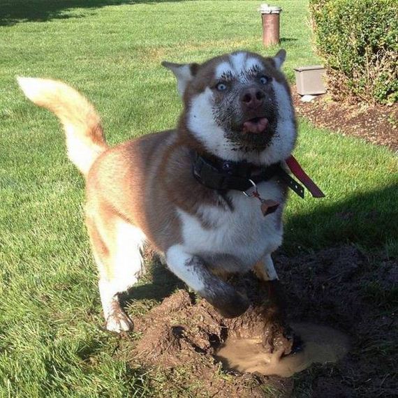 funny-pictures-1277