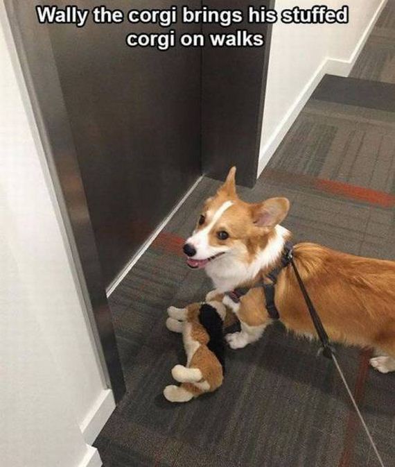 funny-pictures-1277