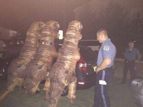 funny-pictures-1278
