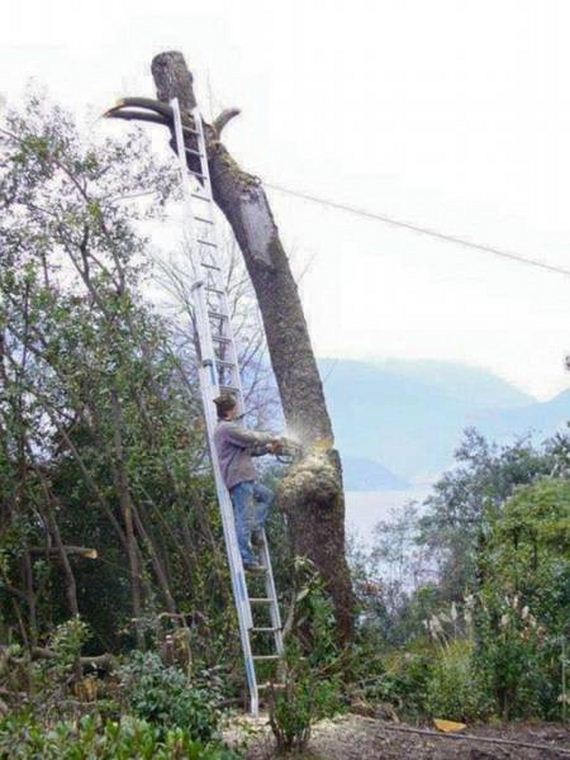 funny-pictures-1278
