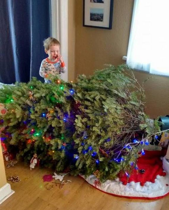 funny-pictures-1278