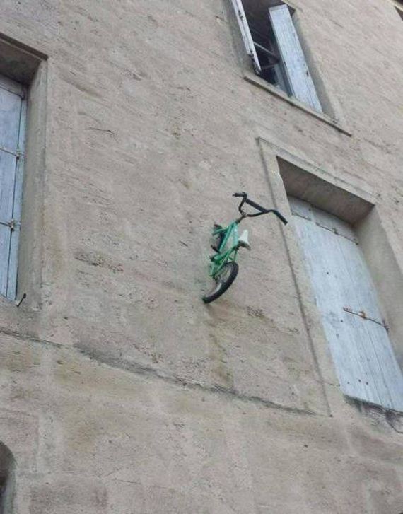 funny-pictures-1278