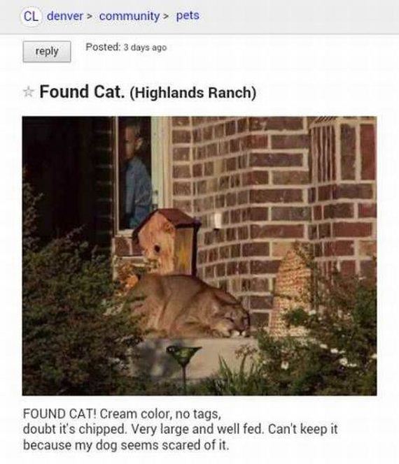 funny-pictures-1278
