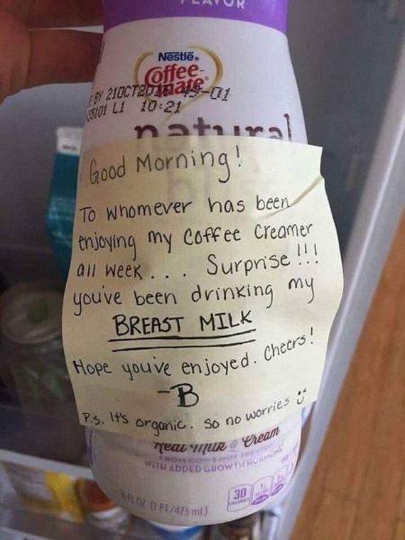 funny-pictures-1278