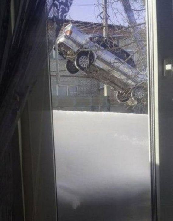 funny-pictures-1278