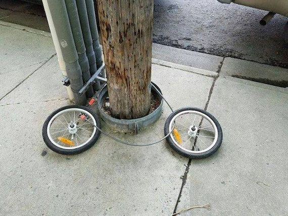 funny-pictures-1279