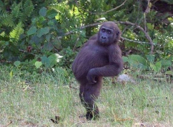 funny-pictures-1279