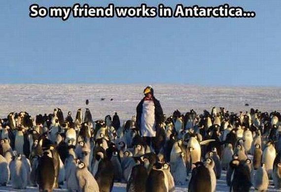 funny-pictures-1279