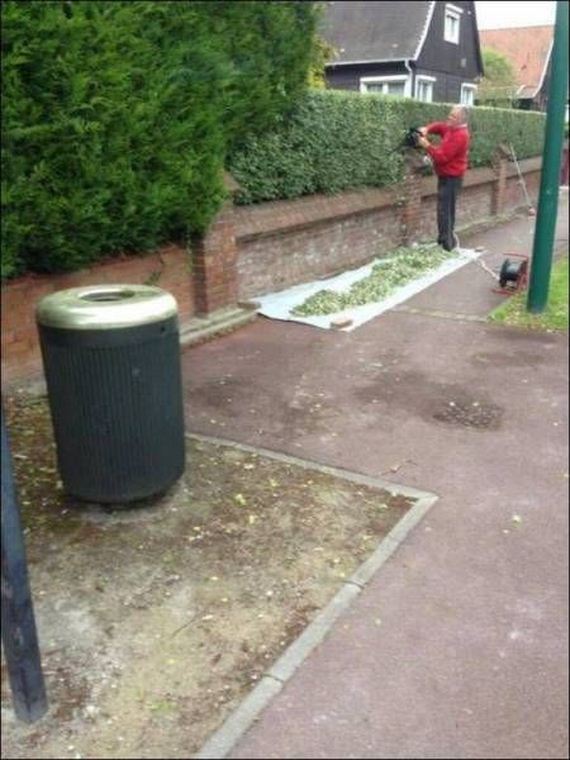 funny-pictures-1279