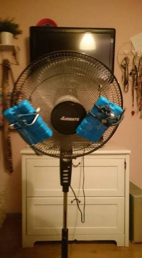 funny-pictures-1279