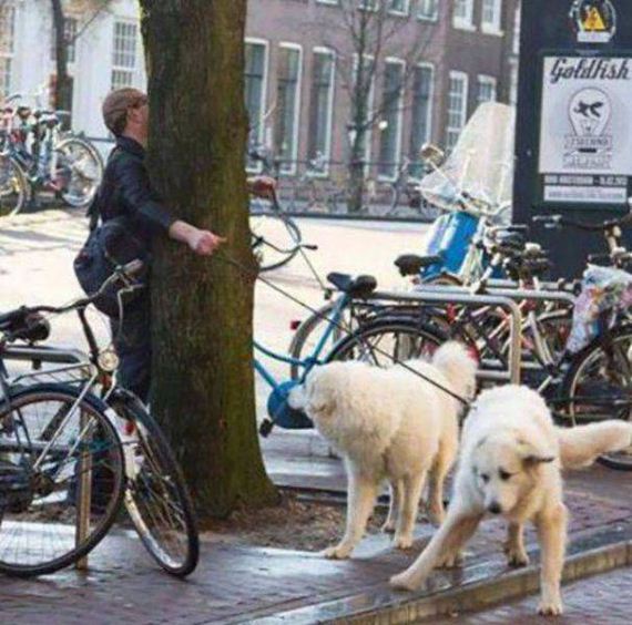 funny-pictures-1279