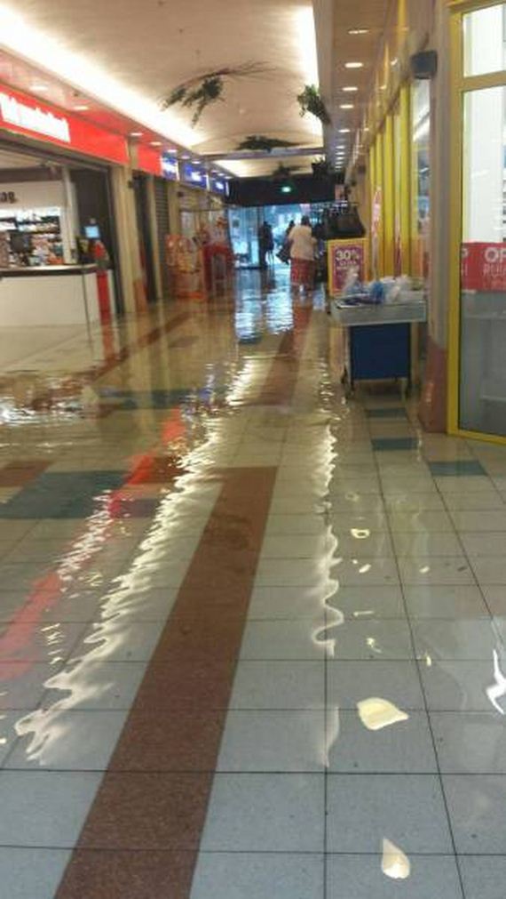 funny-pictures-1279