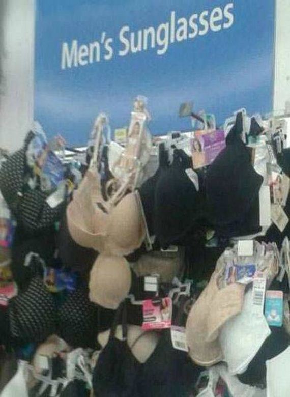 funny-pictures-1279