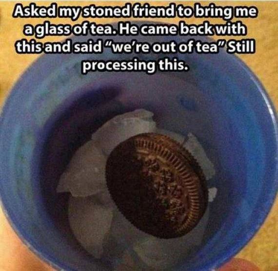 funny-pictures-1279
