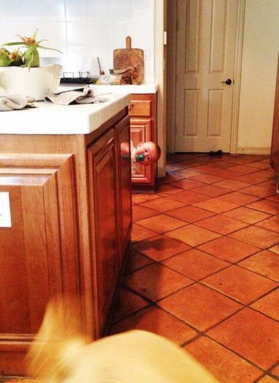 funny-pictures-1279