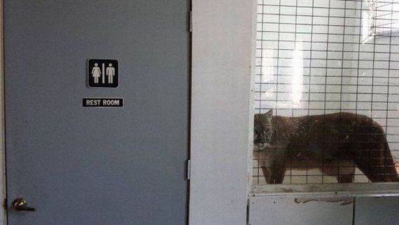 funny-pictures-1281
