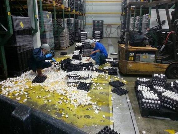 funny-pictures-1281