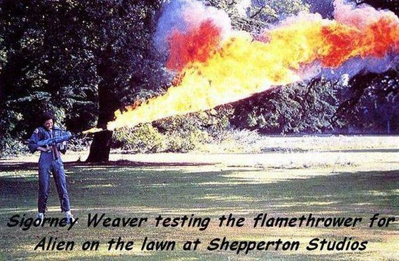 funny-pictures-1281