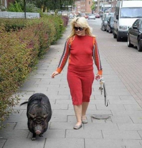 funny-pictures-1281