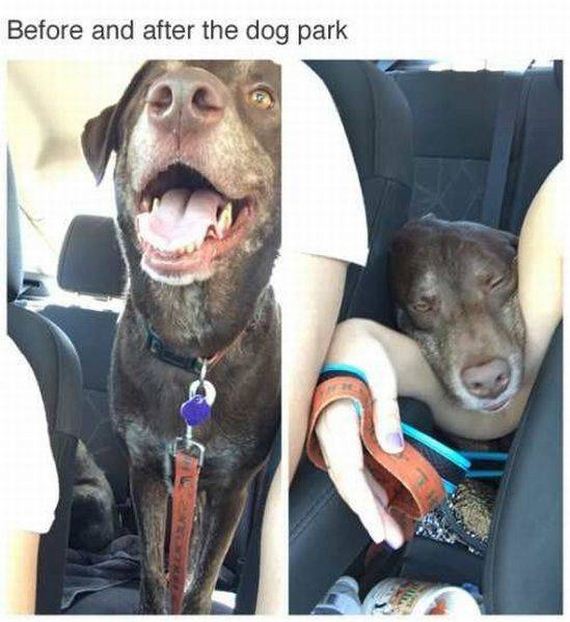 funny-pictures-1281
